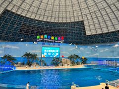 -泉城欧乐堡海洋极地世界