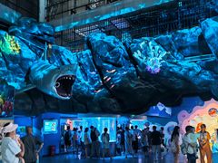 -海合安成都极地海洋公园