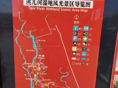 -洮儿河国家湿地公园