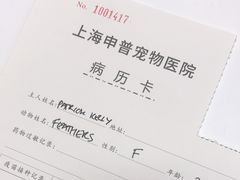 -申普宠物医院·心脏介入·心血管微创(总院)