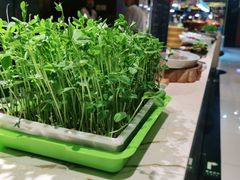 -旺顺阁海鲜广场(亚运村店)
