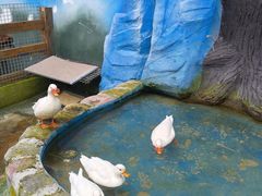 -栾川竹海野生动物园