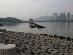 -野狸岛