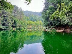 -缙云山景区