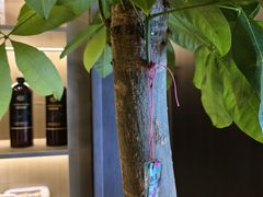 -鹿栖.精油SPA(金山世纪城店)