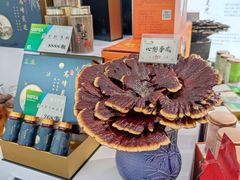 -南宁国际会展中心(会展东博文化旅游区)