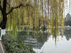 -西南交通大学(九里校区)