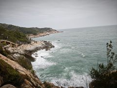 -广东惠东海龟国家级自然保护区