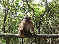 -萍乡武功山风景名胜区