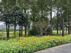 -长兴太湖图影湿地文化园
