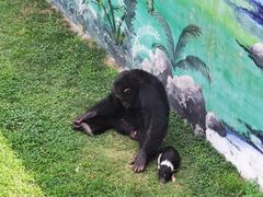 -西霞口神雕山野生动物世界