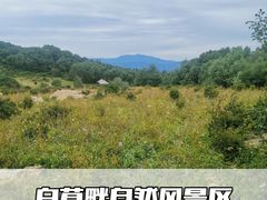 -白草畔自然风景区