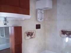 -金山农民画村-枫泾波兰倒置屋