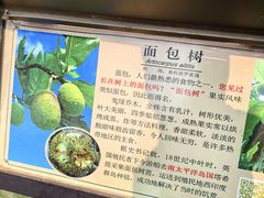 -南宁南湖公园