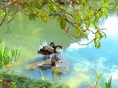 -水绘园