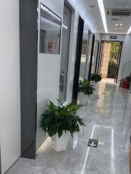 -悟空祛痘·诺奖技术专业店