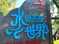 -南京银杏湖乐园