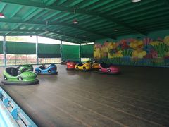 -美的鹭湖探索王国