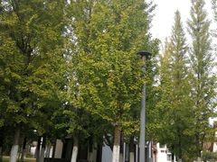 -太阳岛度假酒店