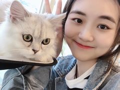-Heymao猫咖.咖啡厅(东门店)