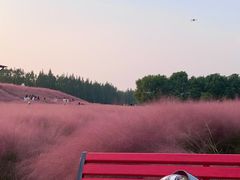 -嘉北郊野公园