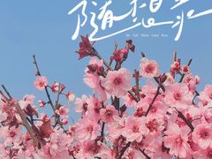 -秀丽东方