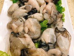 -徐记手切鲜羊肉(辽沈二街店)