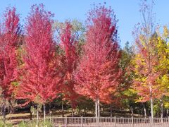 -北京宽沟会议中心