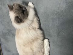 -零纪元VR体验馆·桌游(黄浦店)