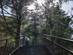 -秦岭天竺山景区