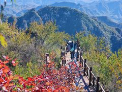 -大岭沟猕猴桃谷风景区