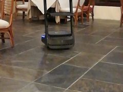 -白云中餐厅·粤菜·亚龙湾喜来登度假酒店