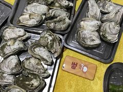 -蚝专家(北滘店)