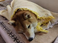 -小时光咖啡馆(北锣鼓巷店)