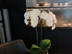 -蘇锦宴·淮扬菜烤鸭·小院(三元桥霄云路店)