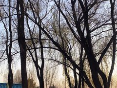 -野鸭湖国家湿地公园