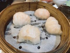 晶莹鲜虾饺-添好运(中环IFC店)