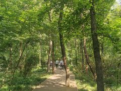 -紫金山天文台