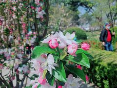 -元大都城垣遗址公园