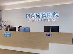 -阿荣24H宠物医院·综合型转诊中心·CT·核磁影像中心