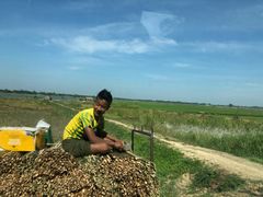 -ခြောက်ထပ်ကြီးရွှေသာလျောင်းဘုရားကြီး