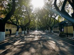 -颐和路民国时期公馆风貌区