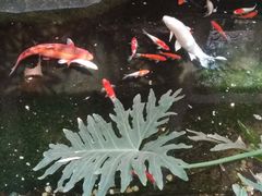 -聚缘堂·海鲜私房菜(松岭路店)