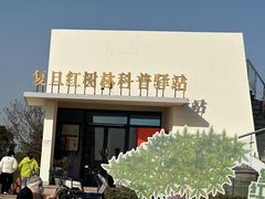 -南汇嘴观海公园