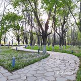 沈水湾公园