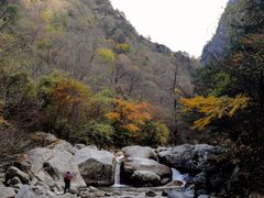 -青峰峡国家森林公园