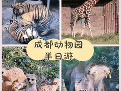 -成都动物园