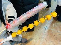 门口卖的糖葫芦很好吃-元盛居(生态大街店)