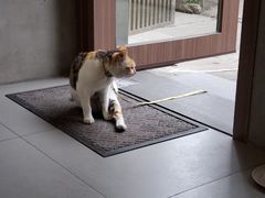 -Again Coffee Roaster(香蜜湖店)