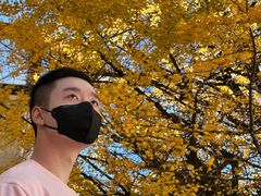 -三塔倒影公园